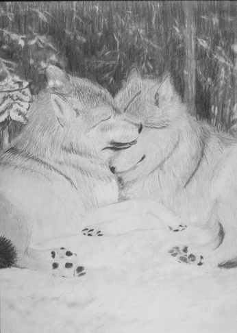 Kissing Wolves